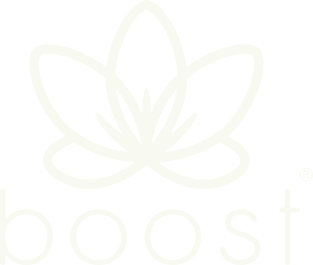 Boost Logo